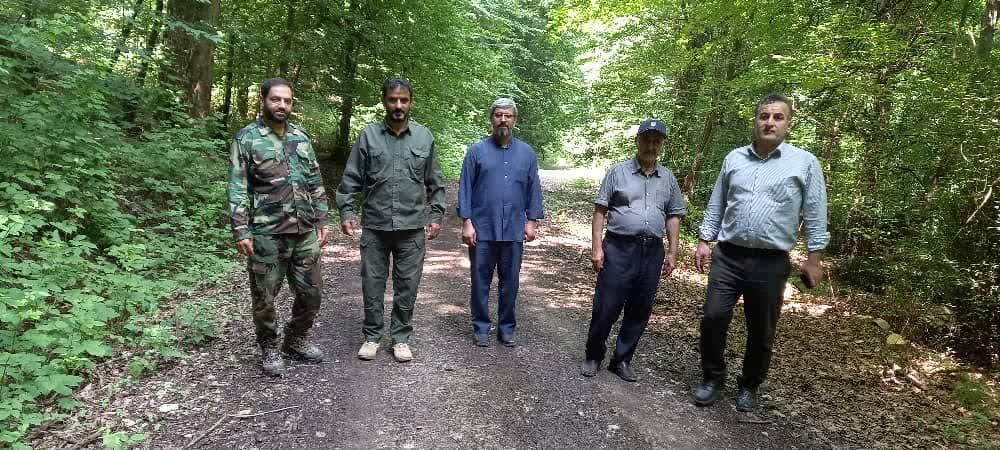 بازدید
