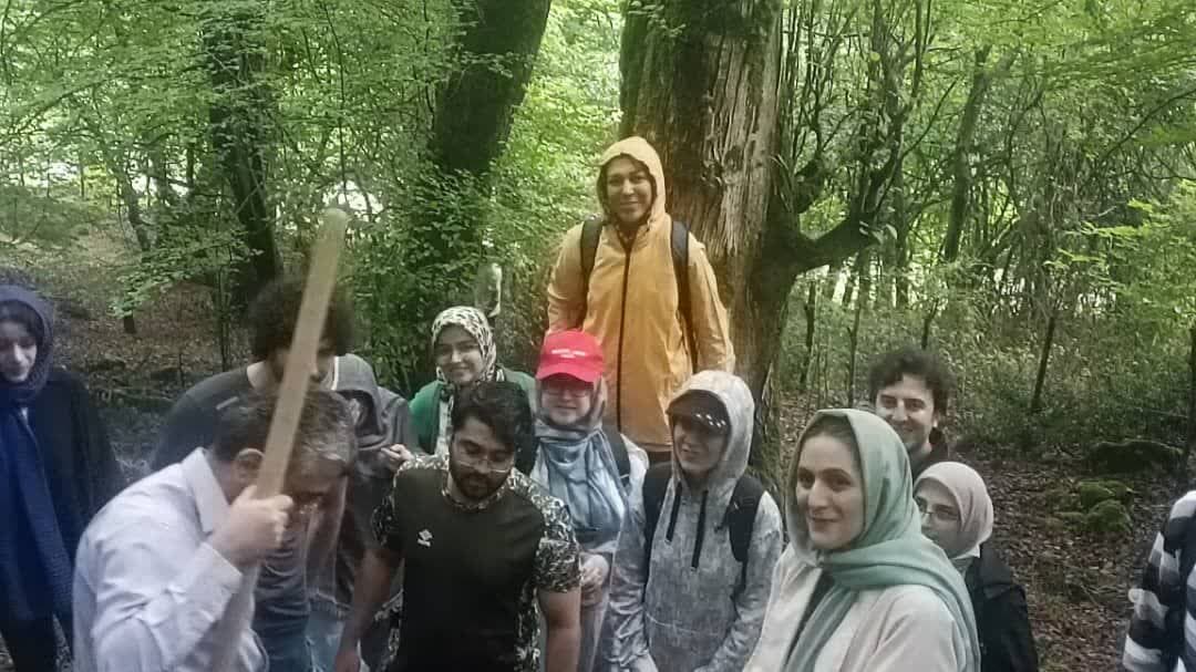 بازدید